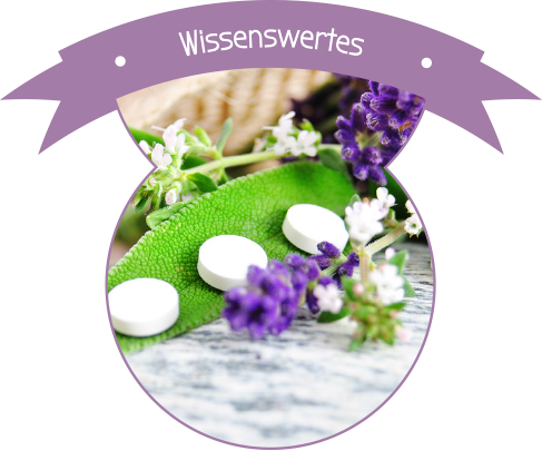 Link zu wissenswerten Infos